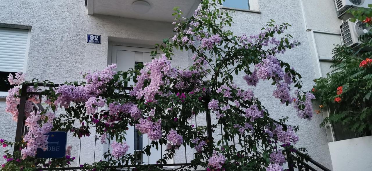 Apartman Perunika سيلتسي المظهر الخارجي الصورة